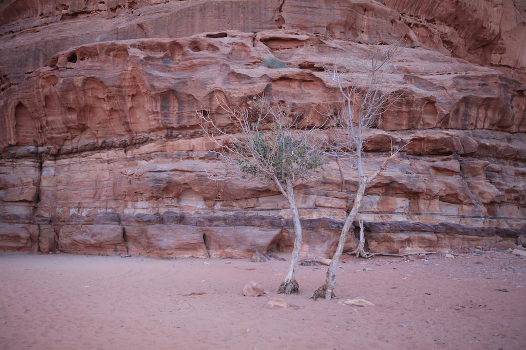 Bedouin Expedition Wadi Rum Exterior foto